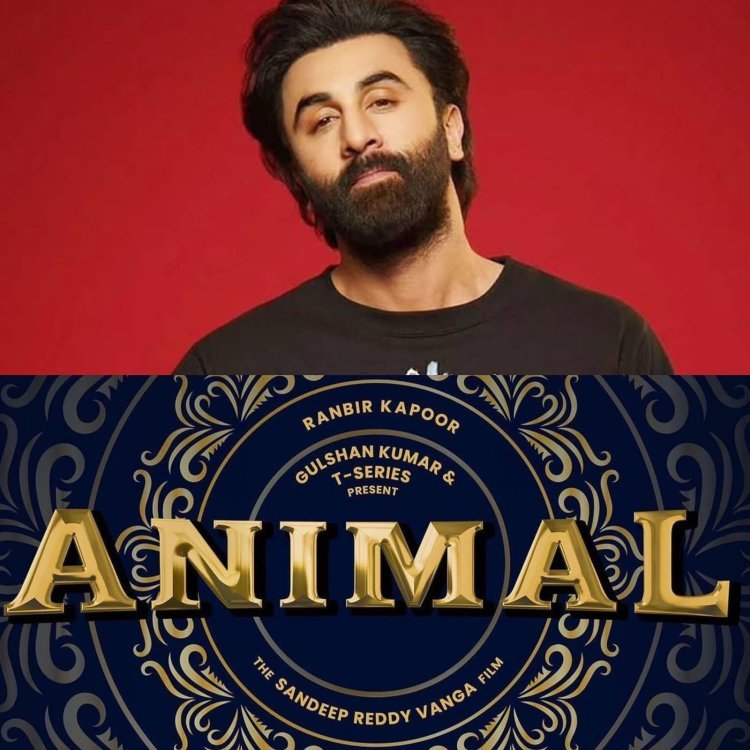 'Animal' Gets A New Release Date As Director Sandeep Reddy Vanga Shares Reasons For Delay