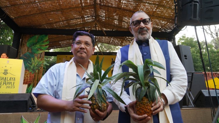 Meghalaya Pineapple Fest 2023: A Grand New Delhi Launch Blending Culture, Agricultural Prowess & Unity