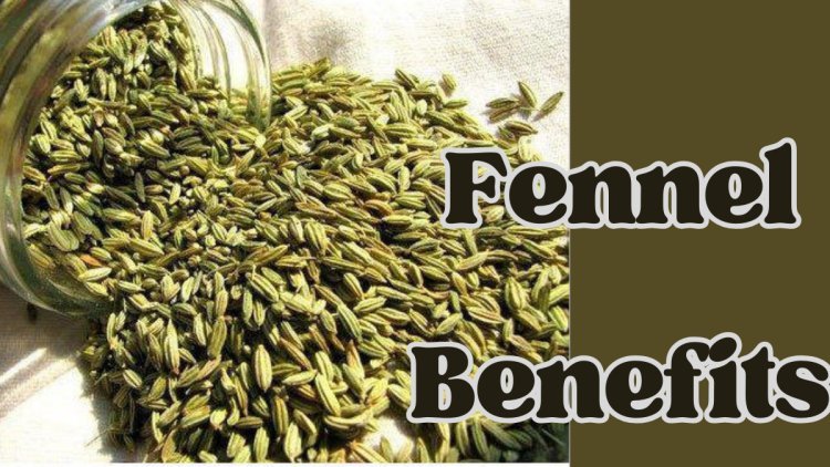 Fennel Benefits: Offer Various Science-Backed Benefits, from Reducing Inflammation & Promoting Overall Health