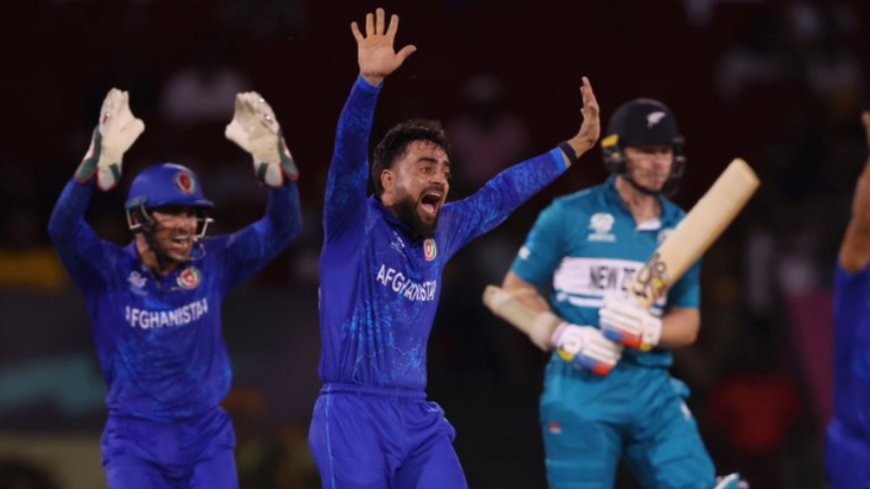 ICC T20 World Cup: Afghanistan Register A Massive 84 Run Win Over New Zealand
